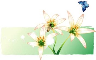 Lili Flower vector 5 Thumbnail