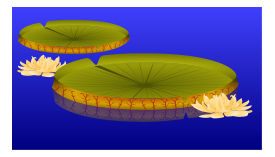 Lilypad with Flowers Thumbnail