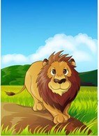 Lion 12