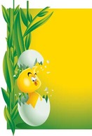 Little Chicken vector 12