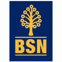 Logo Bsn Thumbnail