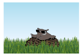 Lucky mole in the meadow Thumbnail