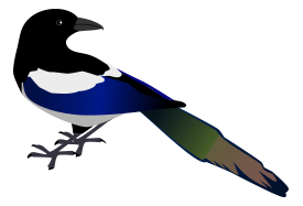 Magpie Thumbnail