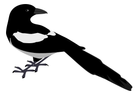 Magpie Thumbnail