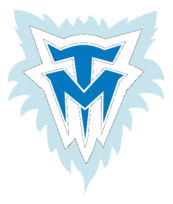 Minnesota Timberwolves