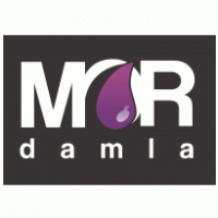 Mor Damla Internet Software Thumbnail