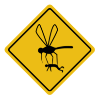 Mosquito hazard Thumbnail
