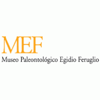 Museo Egidio Feruglio Thumbnail