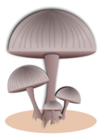 Mushroom