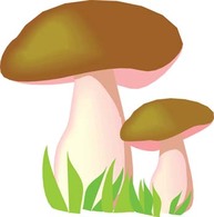 Mushroom 2