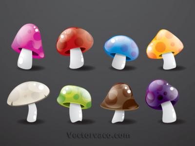 Mushroom Vector Set Thumbnail