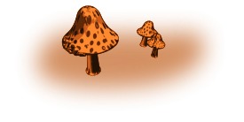 Mushrooms Thumbnail