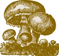 Mushrooms clip art Thumbnail
