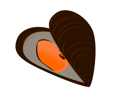 Mussel / MejillÃ³n