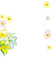 Narcis Flower 8