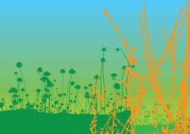 Nature Background Vector