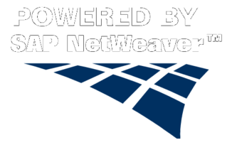 Netweaver