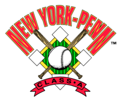 New York Penn League