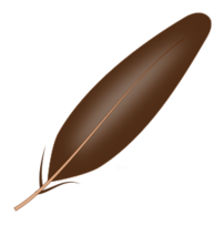 Njiwa Feather