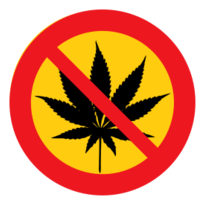 No cannabis