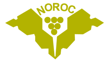 Noroc Moldova