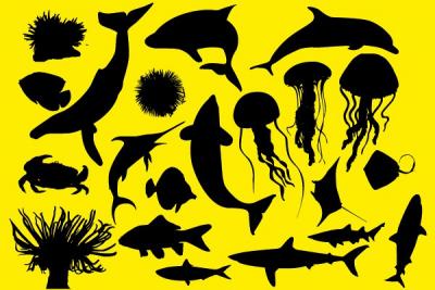 Ocean Animals Vector Silhouettes Thumbnail