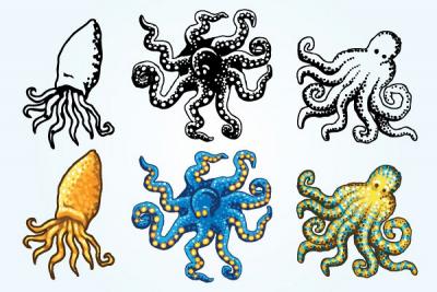 Octopus Vector Graphics Thumbnail