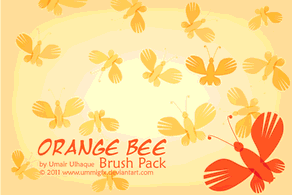 Orange Bee Brush Thumbnail