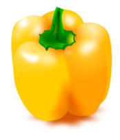 Orange Pepper