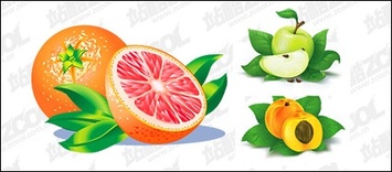 Oranges, apples, Peach vector material Thumbnail