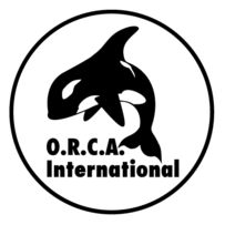 Orca International Thumbnail