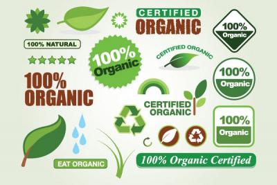 Organic Eco Vector Elements Thumbnail