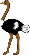 Ostrich clip art