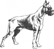 Outline Dog Lineart Pet Animal Mammal Boxer Thumbnail