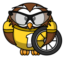 Owl cyclist Thumbnail