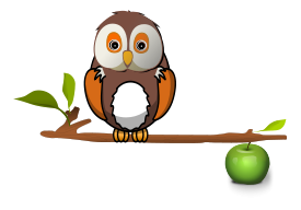 Owl on branch