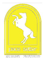 Pace Setter Thumbnail