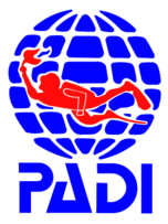 Padi