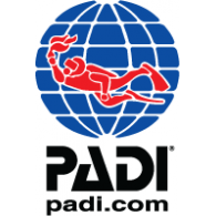 Padi