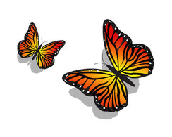 Pair of Butterflies Thumbnail