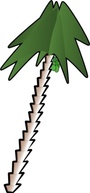 Palm Tree Palmtree Plant Leaning Coconut Dates Thumbnail