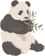 Panda 2