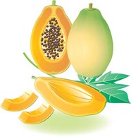 Papaya 2 Thumbnail