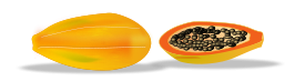 Papaya Sliced Thumbnail