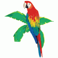 Parrot