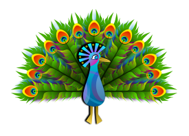 Peacock