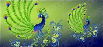 Peacock vector material Thumbnail