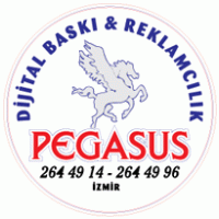 Pegasus Dijital Thumbnail