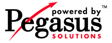 Pegasus Solutions