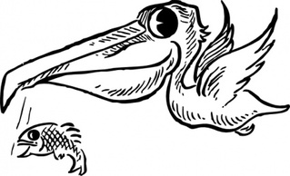 Pelican With Fish clip art Thumbnail